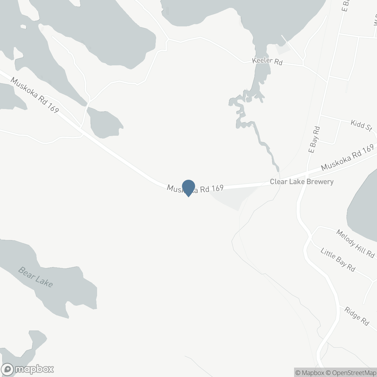 2642 MUSKOKA 169 ROAD, Muskoka Lakes, Ontario P0C 1M0